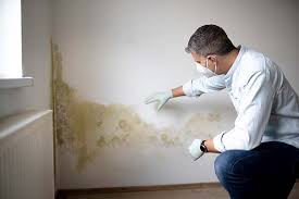 Best Residential Mold Inspection & Testing  in USA